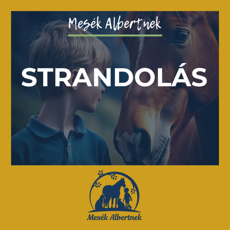 Mesék Albertnek-Strandolás