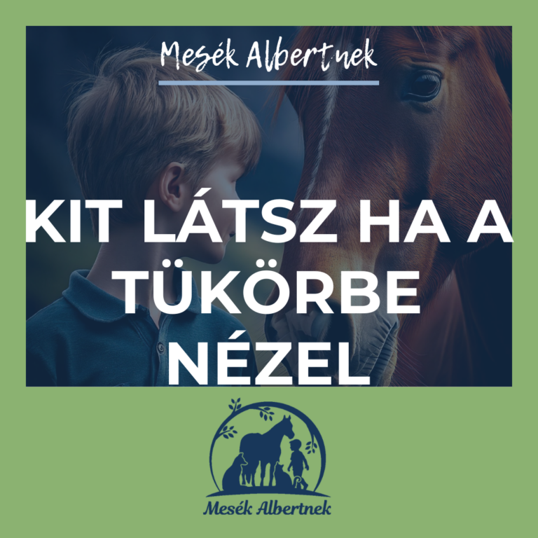 Mesék Albertnek- Kit látsz ha tükörbe nézel