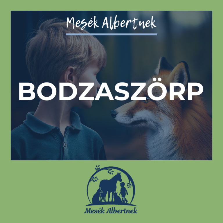 Mesék Albertnek-Bodzaszörp